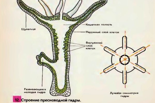 Актуальные ссылки кракен на 2025